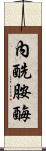 內酰胺酶 Scroll