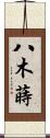 八木蒔 Scroll
