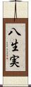 八生実 Scroll