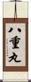 八重丸 Scroll