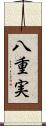 八重実 Scroll