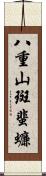 八重山斑蜚蠊 Scroll