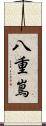 八重嶌 Scroll