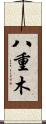 八重木 Scroll