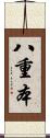 八重本 Scroll