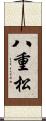 八重松 Scroll