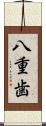 八重歯 Scroll