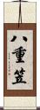 八重笠 Scroll
