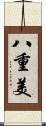 八重美 Scroll