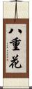 八重花 Scroll