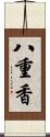 八重香 Scroll