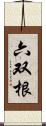 六双根 Scroll