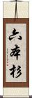 六本杉 Scroll