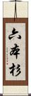 六本杉 Scroll