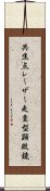 共焦点レーザー走査型顕微鏡 Scroll