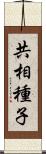 共相種子 Scroll