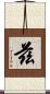 兹 Scroll