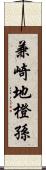 兼崎地橙孫 Scroll