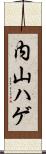 内山ハゲ Scroll
