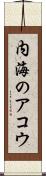 内海のアコウ Scroll