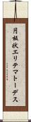 円板状エリテマトーデス Scroll