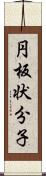 円板状分子 Scroll