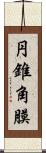 円錐角膜 Scroll