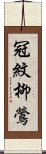 冠紋柳鶯 Scroll