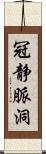 冠静脈洞 Scroll
