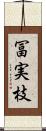 冨実枝 Scroll