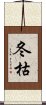 冬枯 Scroll