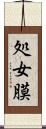 処女膜 Scroll