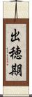 出穂期 Scroll