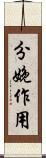 分娩作用 Scroll