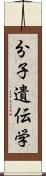 分子遺伝学 Scroll