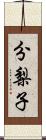 分梨子 Scroll