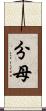 分母 Scroll