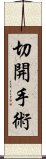 切開手術 Scroll