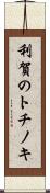 利賀のトチノキ Scroll