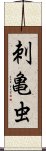 刺亀虫 Scroll