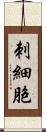 刺細胞 Scroll