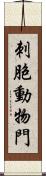 刺胞動物門 Scroll