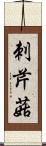 刺芹菇 Scroll