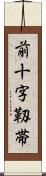 前十字靱帯 Scroll