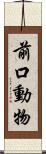 前口動物 Scroll