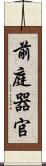前庭器官 Scroll