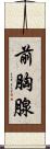 前胸腺 Scroll