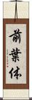 前葉体 Scroll