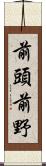 前頭前野 Scroll