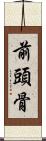 前頭骨 Scroll